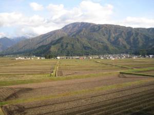 rice fields... (pero wala ngayon...)